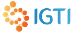 Núcleo de Pesquisa em Inteligênca, Gestão e Tecnologia para Inovação - IGTI